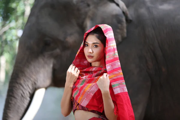 Thailand Countryside Women Elephant Forest Background Sunset Elephant Thai Surin — 스톡 사진