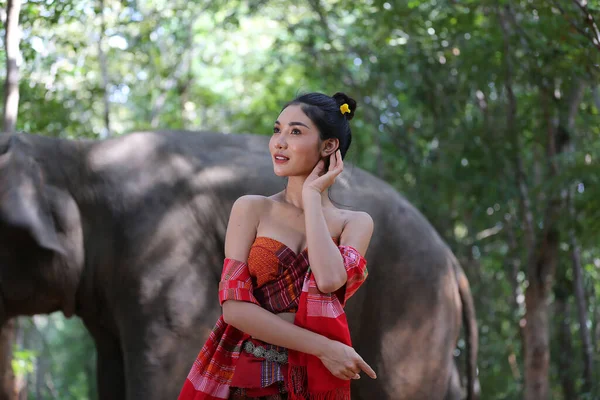 Thailändische Landschaft Frauen Mit Elefanten Auf Dem Waldhintergrund Des Sonnenuntergangs — Stockfoto