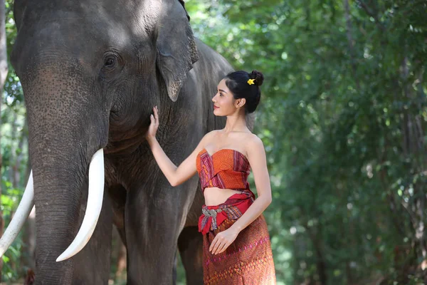 Thailändische Landschaft Frauen Mit Elefanten Auf Dem Waldhintergrund Des Sonnenuntergangs — Stockfoto