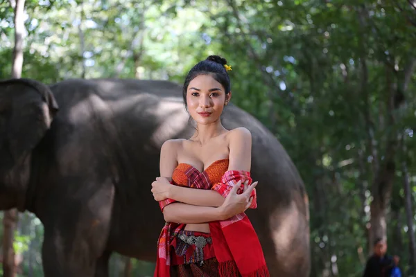 Thailand Countryside Women Elephant Forest Background Sunset Elephant Thai Surin — Zdjęcie stockowe