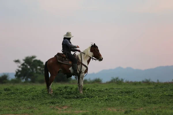 Cowboy Equitação Cavalo Com Mão Segurando Arma Contra Pôr Sol — Fotografia de Stock