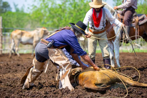 Cowboys Perseguir Cavalos Selvagens Roping Equitação Com Poeira Voando Todos — Fotografia de Stock