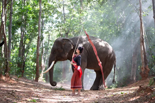 象とアジアの女の子 — ストック写真