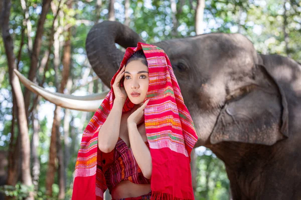 Elefante Con Chica Asiática — Foto de Stock