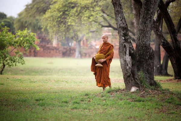 僧人在公园里散步 僧人在菩提树下冥想 菩提树下是泰国的佛寺 — 图库照片