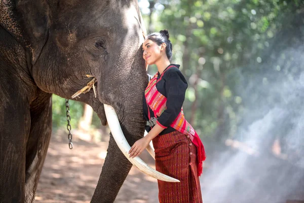 美しい若いアジアの女性は 村の森の中で伝統的なネイティブのドレスと象を身に着けています Surin Thailand — ストック写真