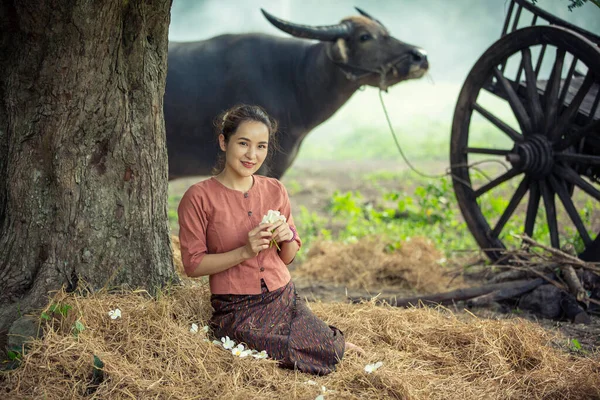 Portret Pięknej Azjatki Bawoła Polu Farmie — Zdjęcie stockowe