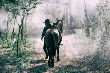 Binicinin silueti kovboy kostümü gibi elinde bir silah, dumana ve günbatımına karşı tutulan bir atla.
