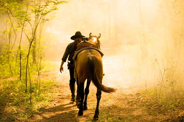 Silhouette Rider Cowboy Outfit Costume Horses Gun Held Hand Smoke — Stock Photo, Image