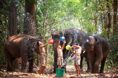 Çocuklar ormanda fillere karşı suyla oynarlar..