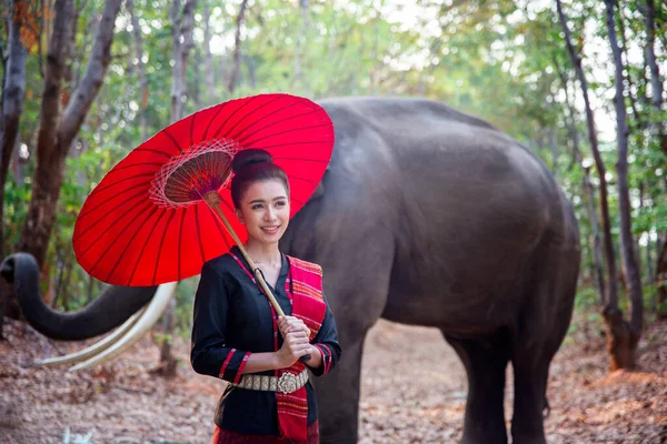 Retrato Mujer Sonriente Pie Con Elefante Tailandia —  Fotos de Stock