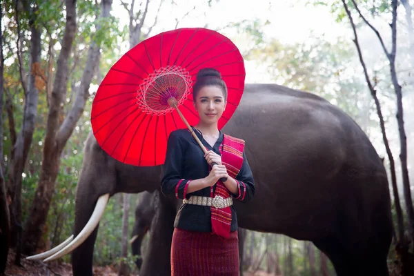 Portrait Smiling Woman Standing Elephant Thailand — Stock Photo, Image