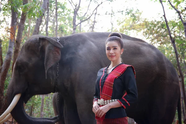 Portrait Smiling Woman Standing Elephant Thailand — Stock Photo, Image