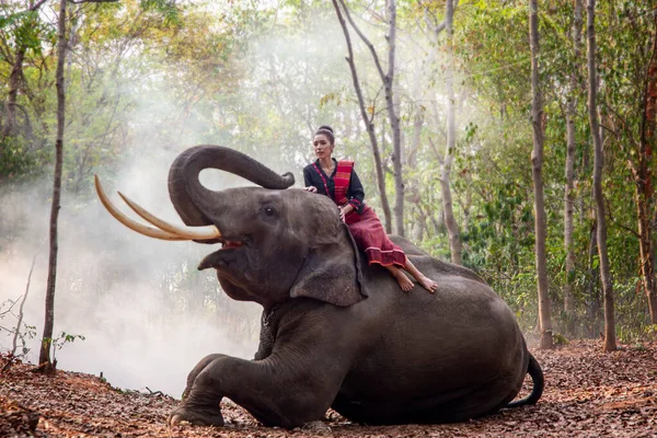 タイで象と一緒に立つ笑顔の女の肖像 — ストック写真