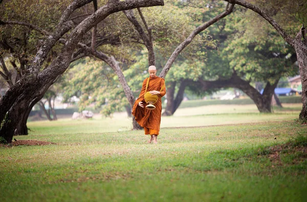 Mnich Spacerujący Trawniku Parku — Zdjęcie stockowe
