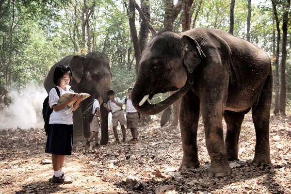 Full Length Of Schoolboys Standing By Elephant In Forest, Student are going to school with elephant.