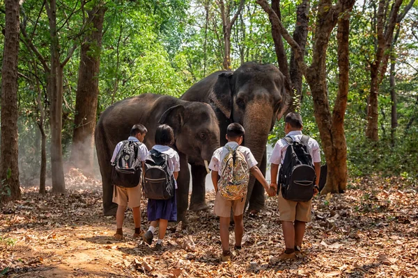 象の森に立つ学童たちの長さ象と一緒に学校へ行く生徒たち — ストック写真