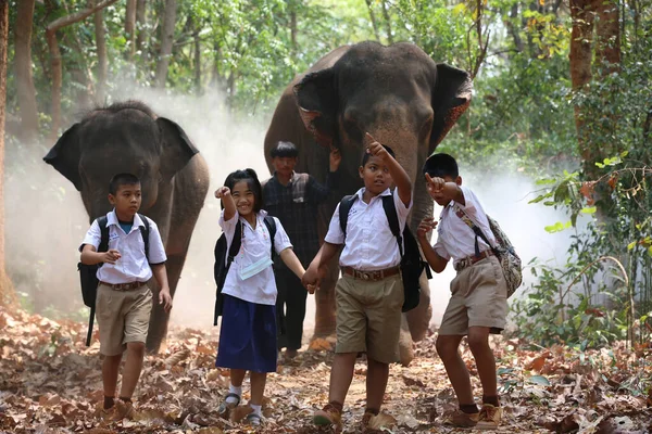 Estudantes Caminham Para Escola Através Floresta Lado Dos Elefantes — Fotografia de Stock