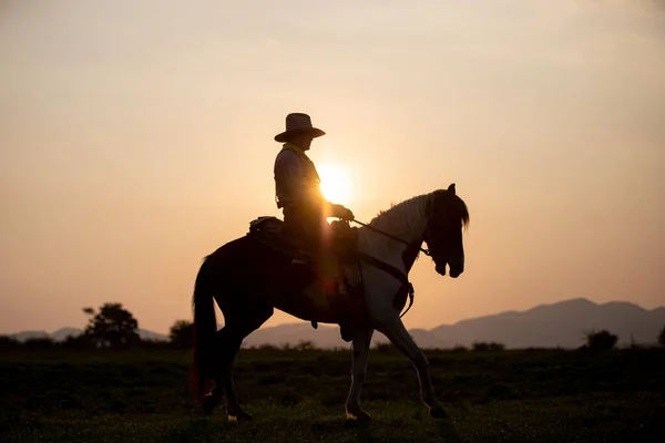 Vaquero Caballo Contra Hermoso Atardecer Vaquero Caballo Primera Luz Montaña — Foto de Stock