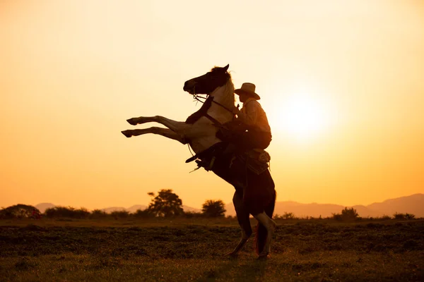 Cowboy Hästryggen Mot Vacker Solnedgång Cowboy Och Häst Gryningen Berg — Stockfoto