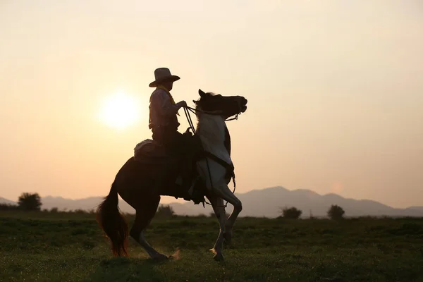 Cowboy Cavalo Contra Belo Pôr Sol Cowboy Cavalo Primeira Luz — Fotografia de Stock