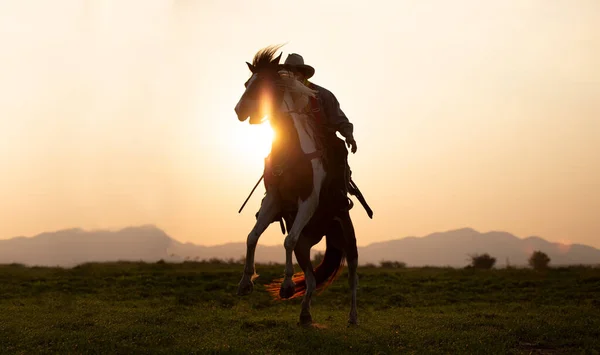 美しい夕日に対して馬に乗ってカウボーイと馬の最初の光で 川と自然の光の背景とライフスタイル — ストック写真