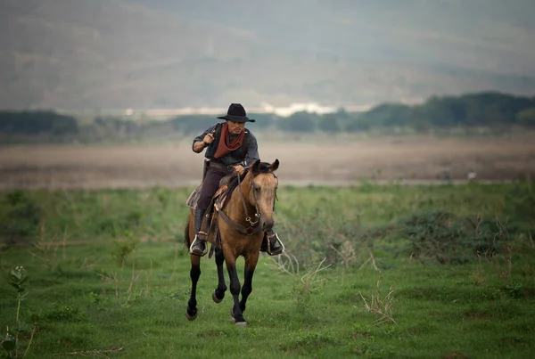 Cowboy Hästryggen Mot Vacker Solnedgång Cowboy Och Häst Gryningen Berg — Stockfoto