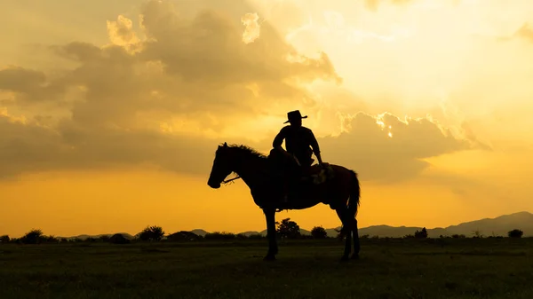 Cowboy Hästryggen Mot Vacker Solnedgång Cowboy Och Häst Gryningen Berg — Stockfoto