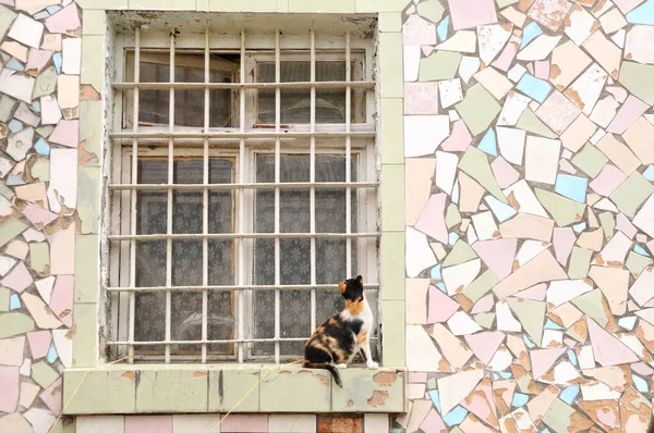 城市监狱的窗户 有栅栏 坐着猫 — 图库照片
