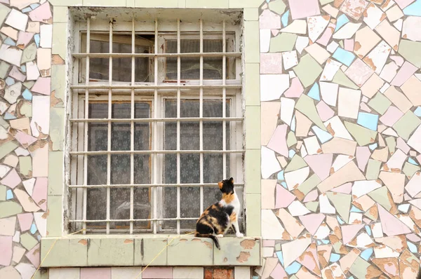 Finestra Della Prigione Cittadina Con Bar Gatto Seduto — Foto Stock