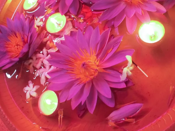 Lotus çiçek dekorasyonu