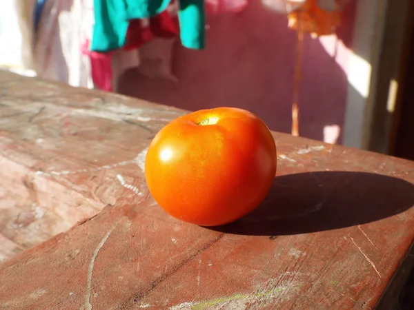 Freah tomato from garden — Stock Photo, Image