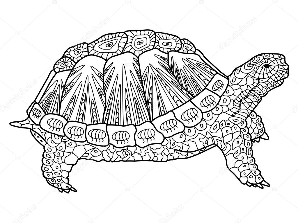 Turtle coloring book for adults vector