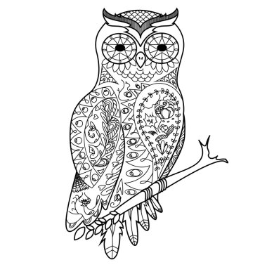 Baykuş boyama kitabı yetişkin vektör için