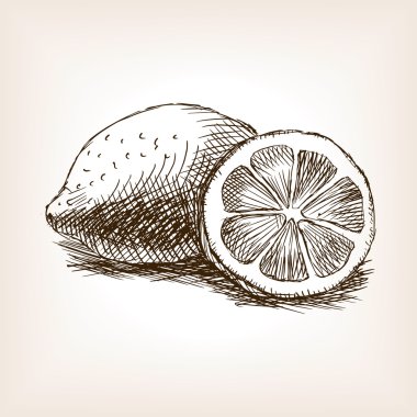 Lemon fruit hand drawn sketch style vector