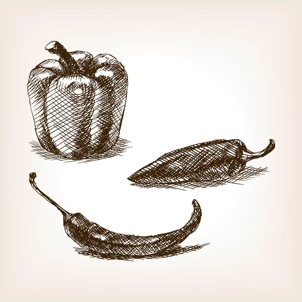 Peppers hand drawn sketch style vector — Wektor stockowy