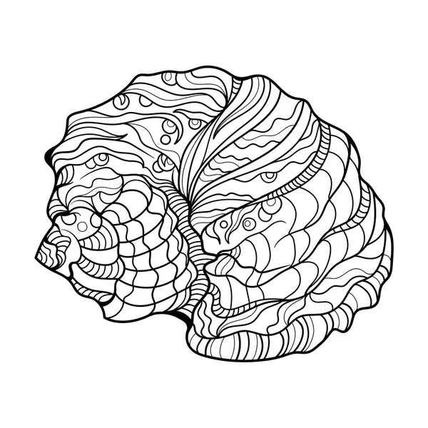 Shell helix coloring book for adults vector — 图库矢量图片