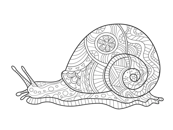 Snail coloring book for adults vector — Stock Vector