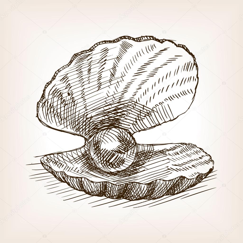 Sea shell with pearl hand drawn sketch vector