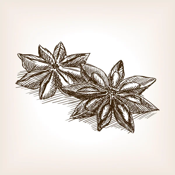 Anís estrella dibujado a mano bosquejo estilo vector — Vector de stock