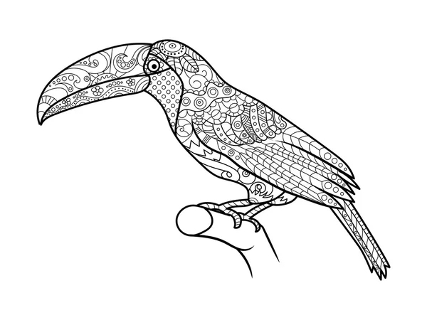 Livre de coloriage Toucan pour adultes vecteur — Image vectorielle