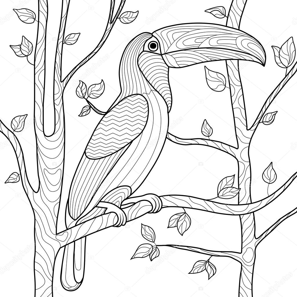 Premium Vector  Tucan and flower coloring page for adults