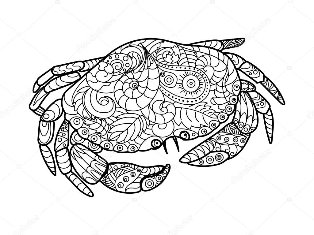 Crab coloring book for adults vector Stock Vector by ©AlexanderPokusay  106708556