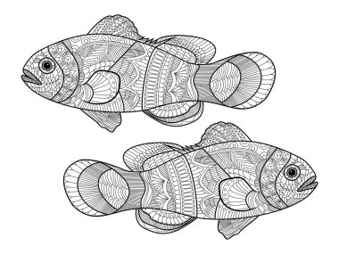 Palyaço balık boyama kitabı yetişkin vektör için