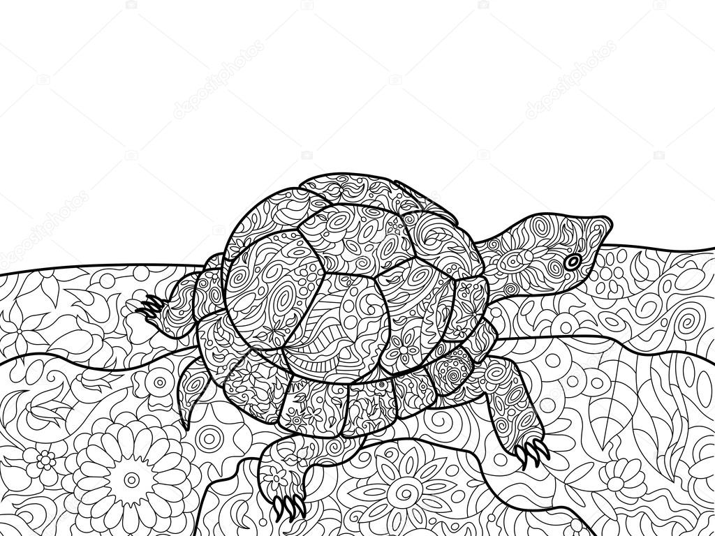 Turtle coloring book for adults vector Stock Vector by
