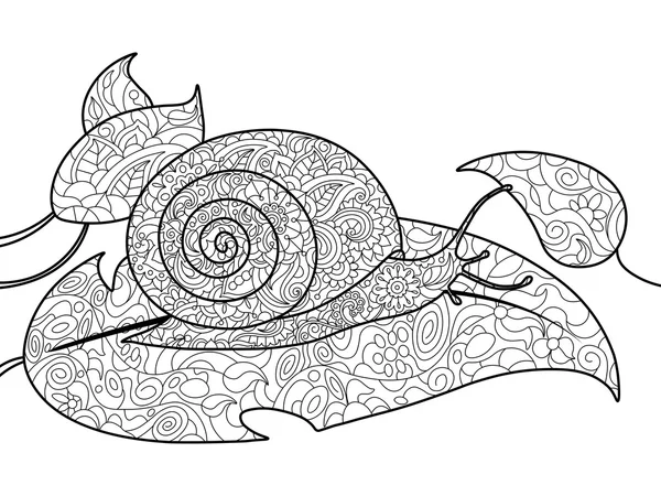 Livre de coloriage escargot pour adultes vecteur — Image vectorielle