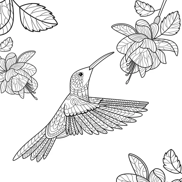 Colibrí para colorear libro para adultos vector — Archivo Imágenes Vectoriales