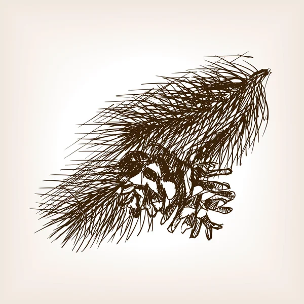Dibujo rama de pino estilo vector ilustración — Vector de stock