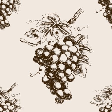 Üzüm el avuç Dikişsiz desen vektör çizilmiş