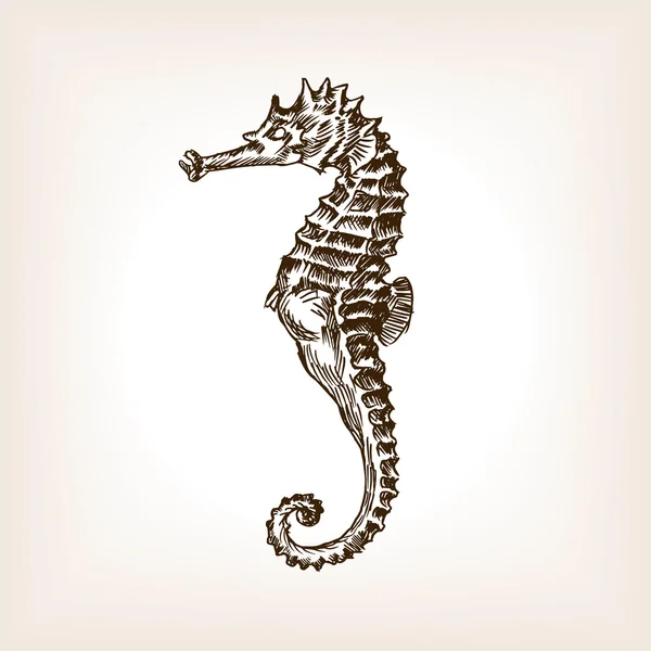 Cheval de mer dessiné à la main vecteur de croquis — Image vectorielle